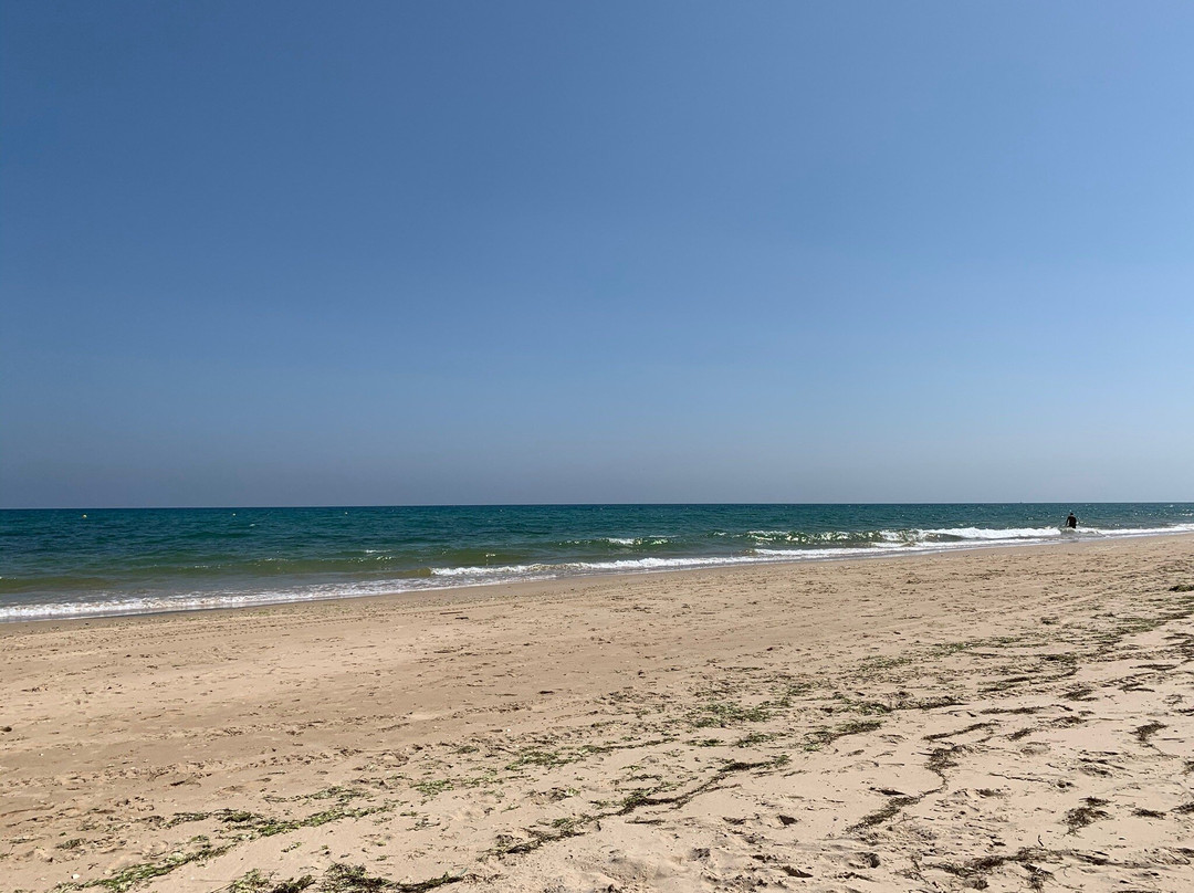 Kitesurf Eolis-塔维拉必去景点