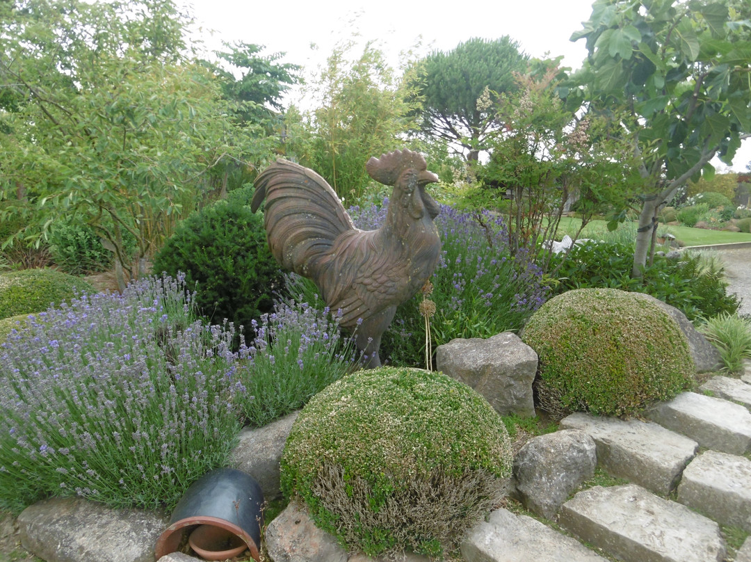 Le Jardin Bosselé景点图片