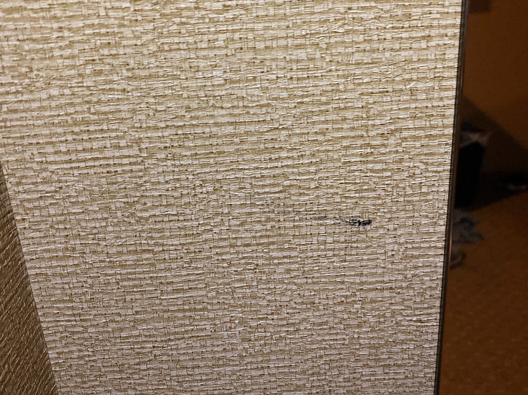 Kings Pointe-斯托姆莱克必去景点