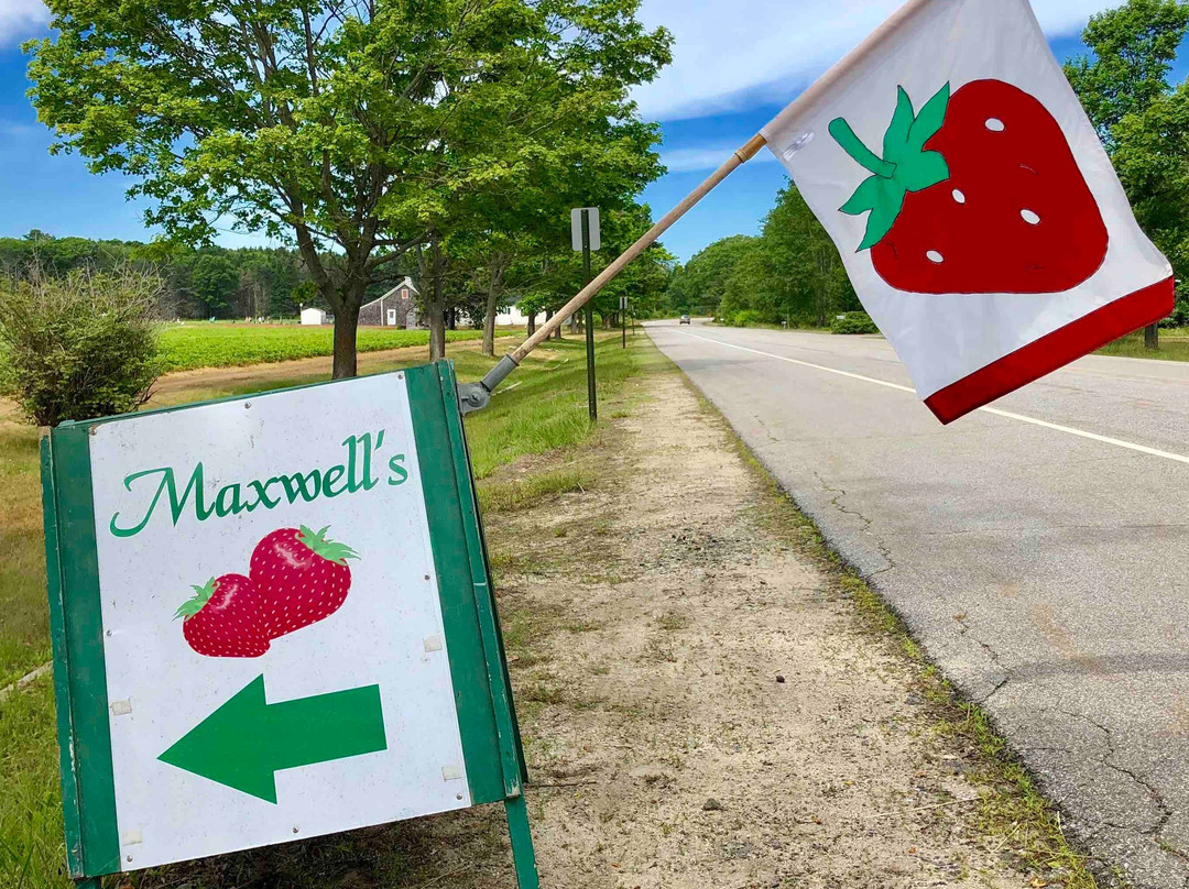 Maxwells Farm-开普伊丽莎白必去景点