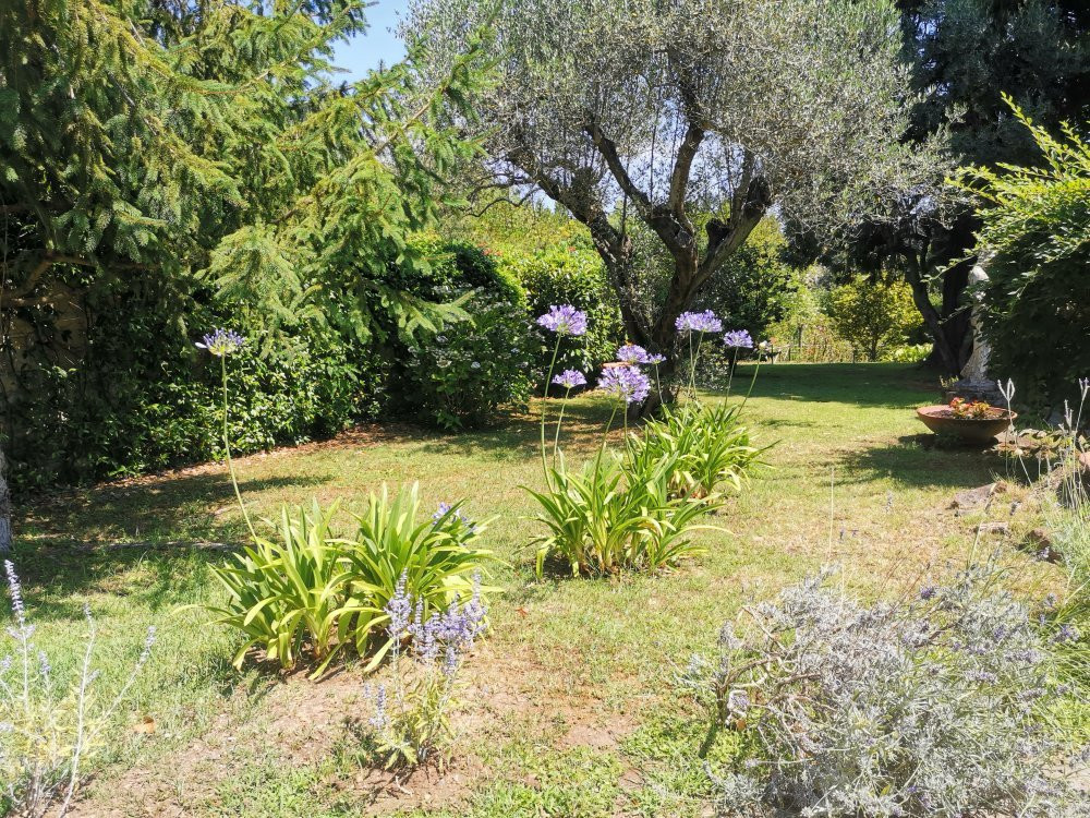 Villa Clementina Hotel主图