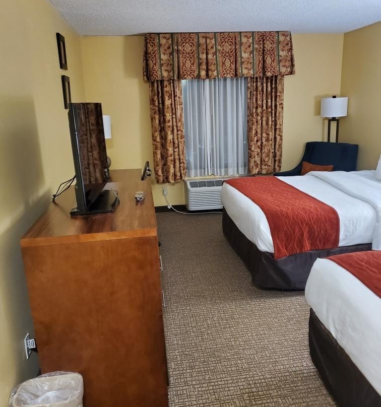 Comfort Inn Brownsville I-40主图