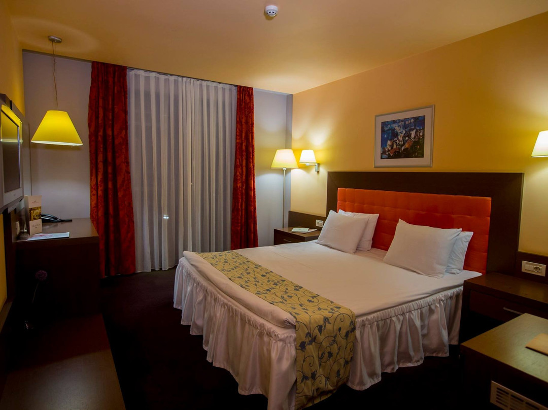 Park Hotel Romantica主图