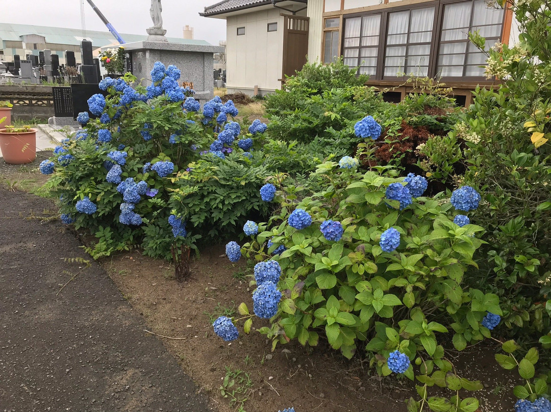 Eko-ji Temple-岩沼市必去景点