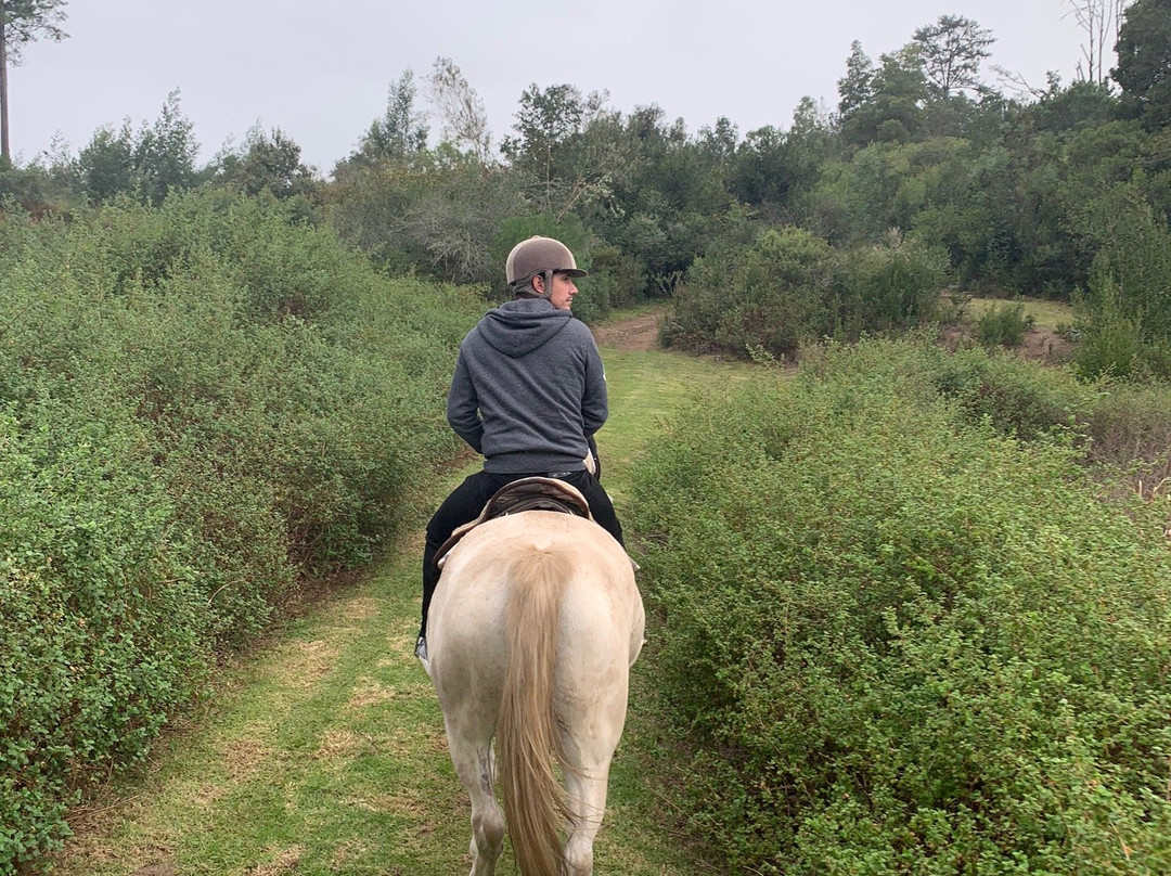 Perdepoort Horse Tails-荒野必去景点