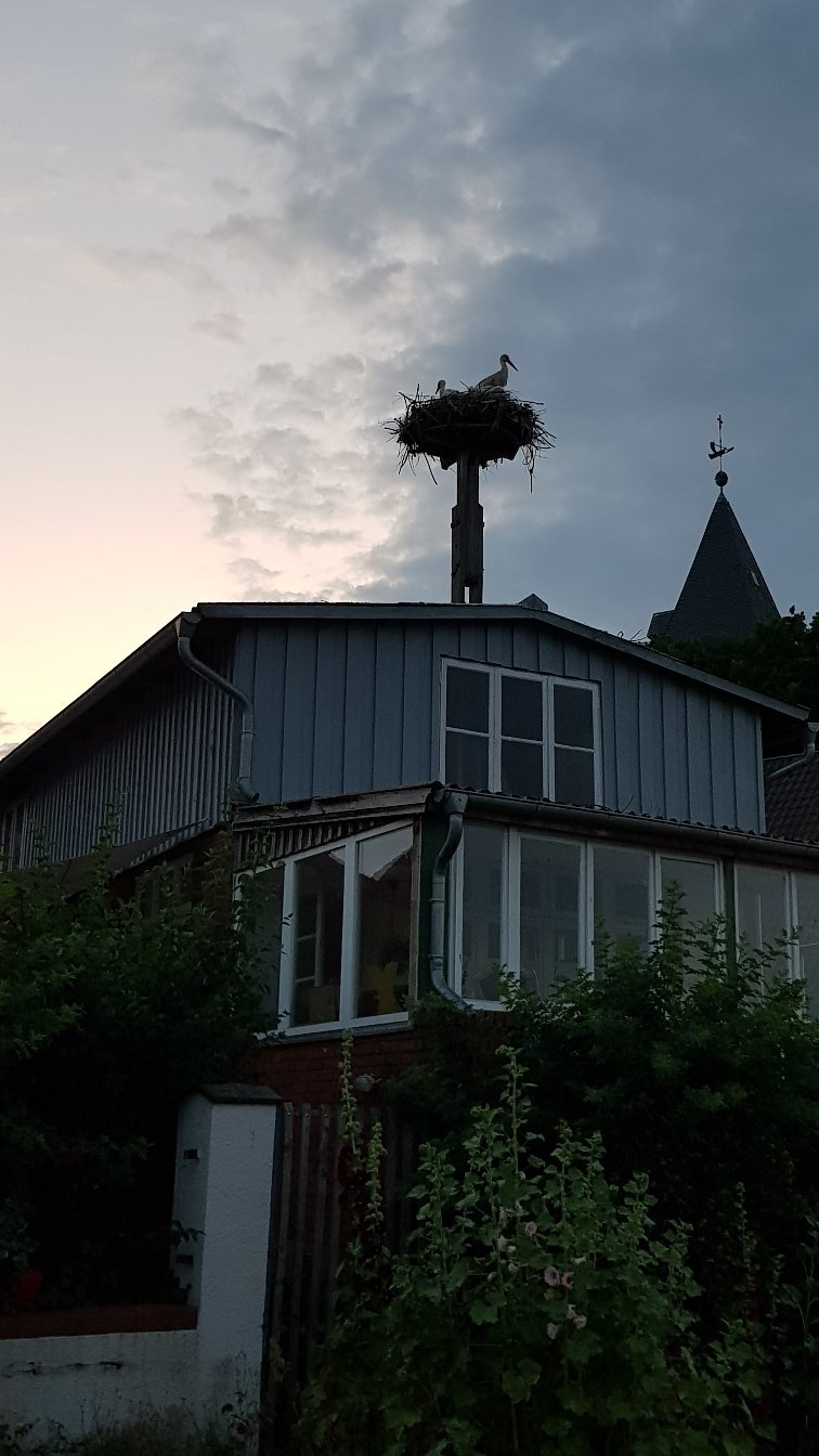 Hotel Buergerstube-官方