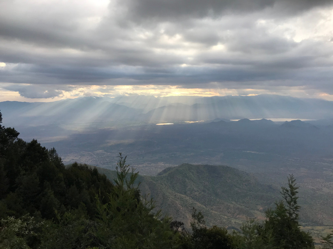 MamboViewPoint主图