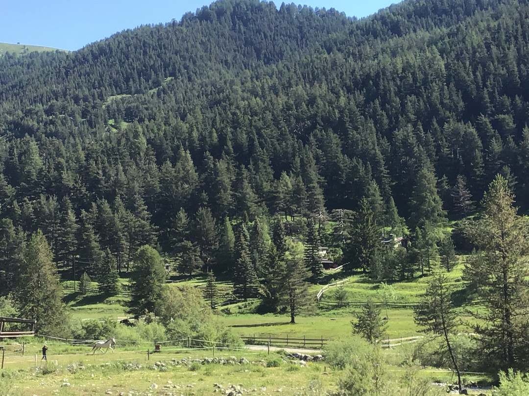 Hotel Chamois d' Or主图