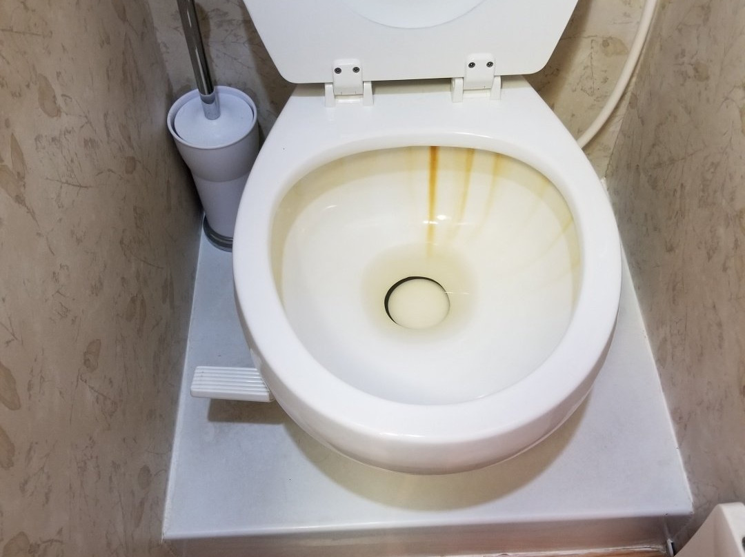 Treasure Beach RV Park and Campground主图