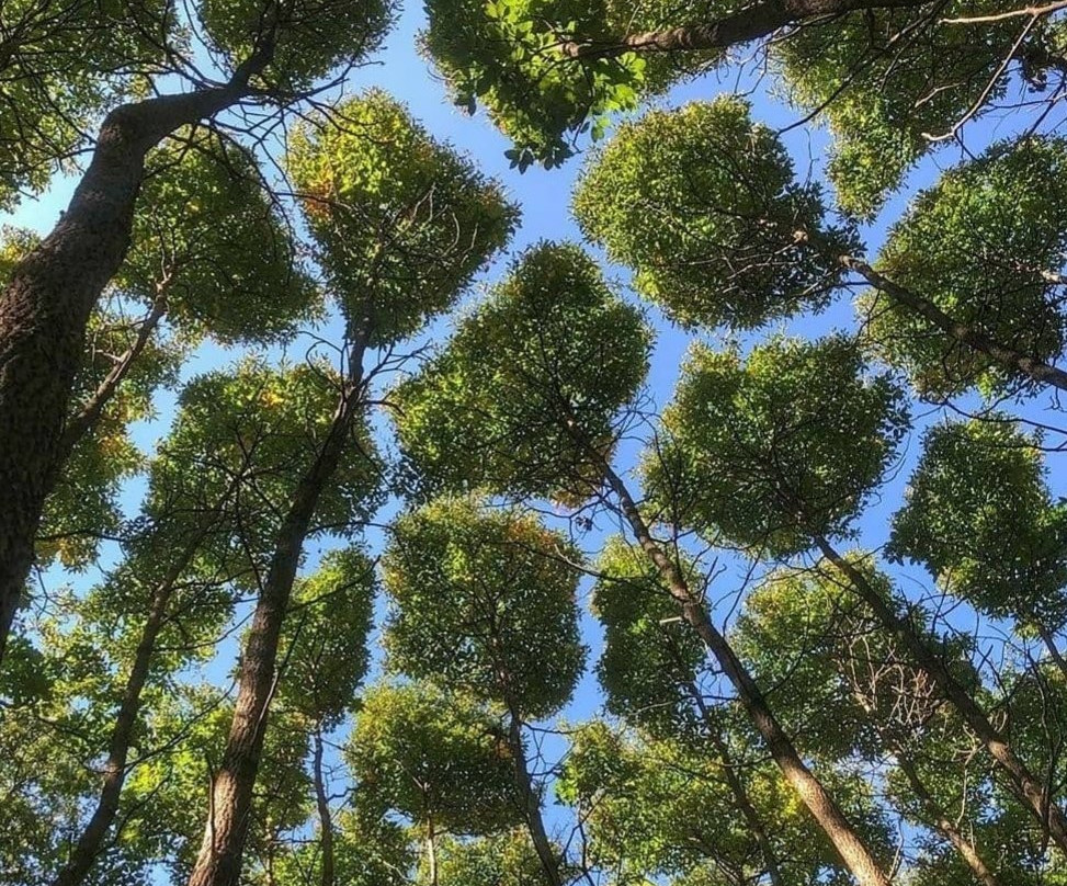 Garipce Castle-伊斯坦布尔必去景点