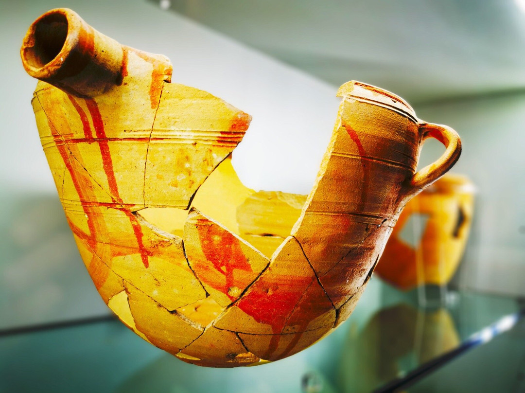 MAFF - Museo Archeologico Francavilla Fontana景点图片