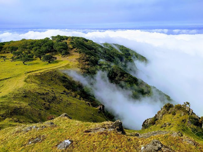 Madeira with Linda-沙尔必去景点
