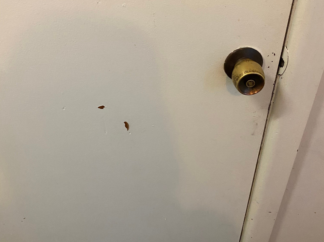 Tuncurry Motor Lodge主图