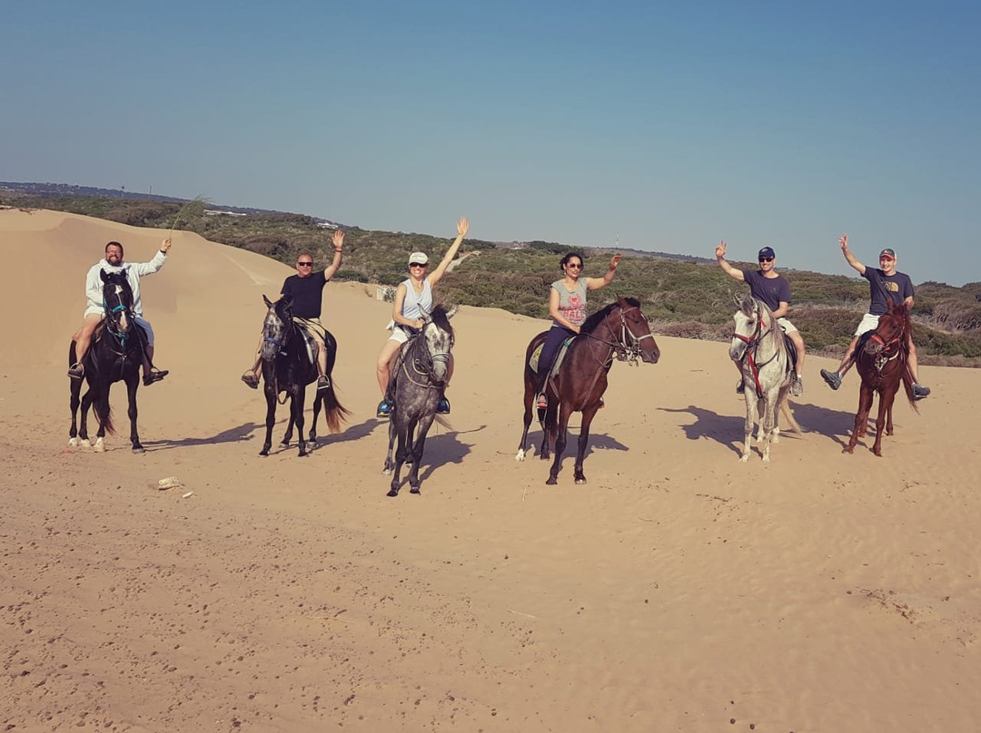 David Ringler - Guiding in Israel - Tours-耶路撒冷必去景点