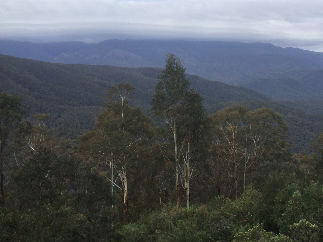 Scammells Lookout-Khancoban必去景点