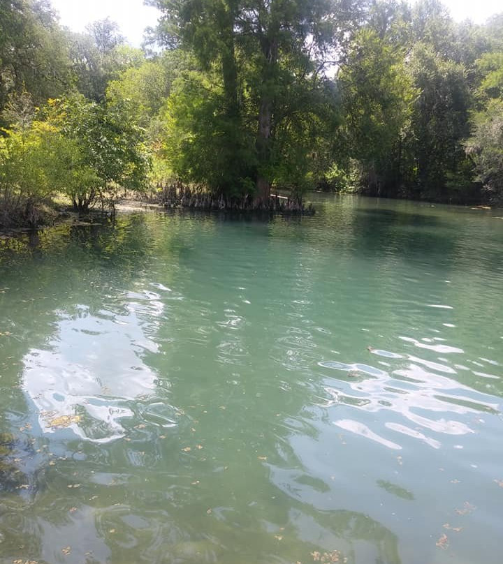 Otter Springs Park & Campground