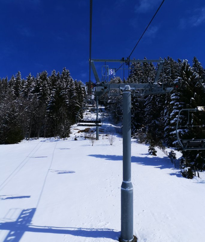 Alpine Descents, Chalet Carnauba主图