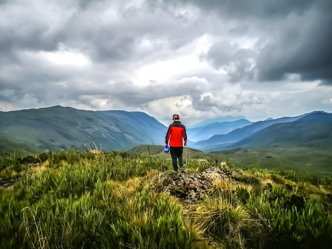 Tybyn Geo Lodge主图