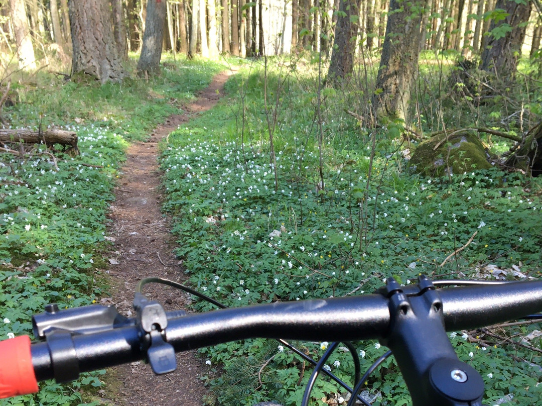 Woods & Water of Sweden-Vadstena必去景点