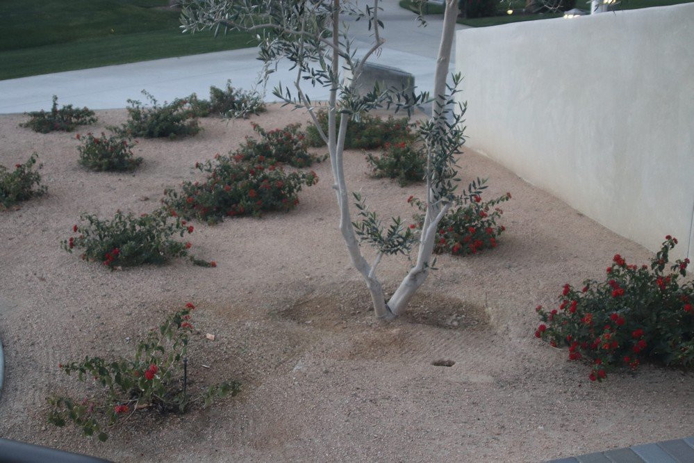 Rancho Mirage Community Park-兰乔米拉必去景点