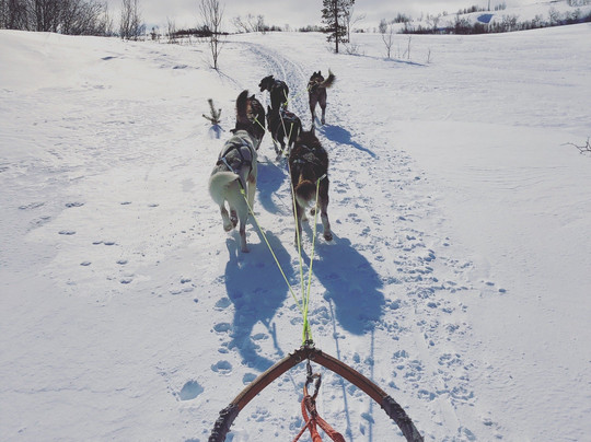 Trasti & Trine AS-阿尔塔必去景点