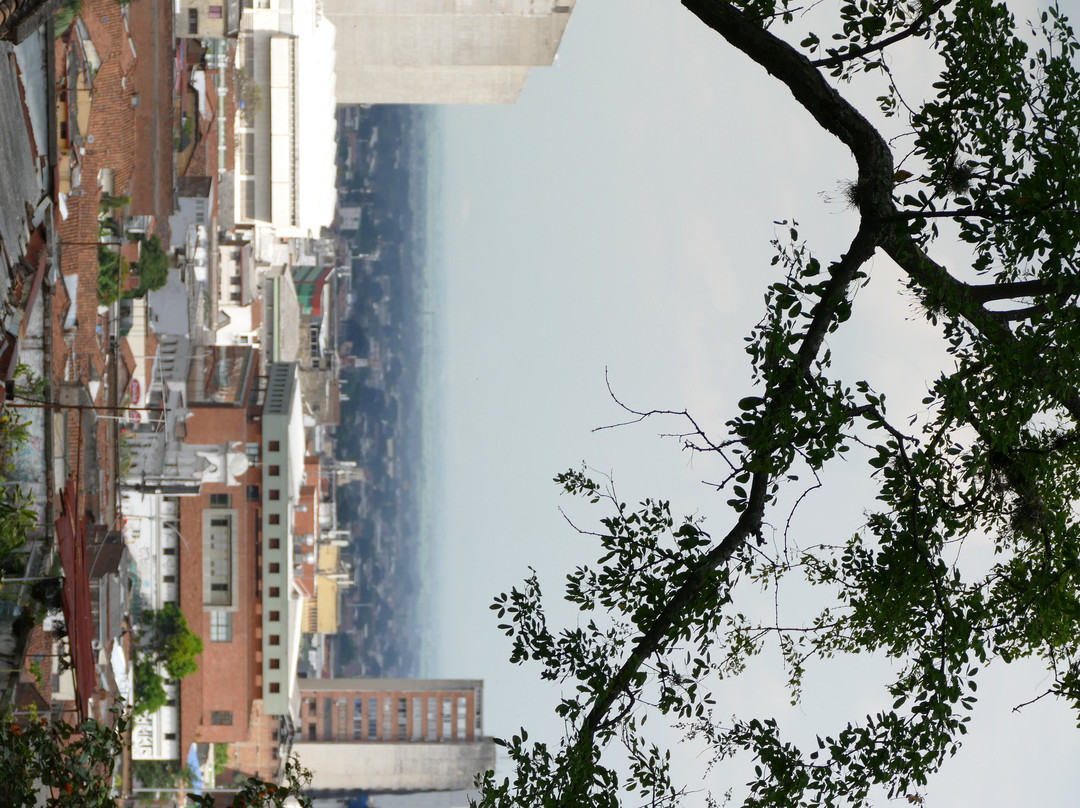 Iglesia de San Antonio-卡利必去景点