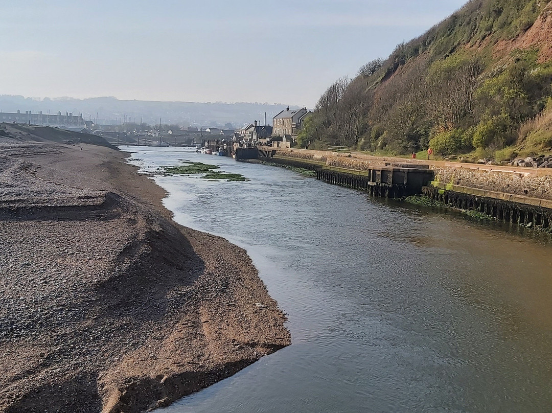 River Axe Estuary景点图片