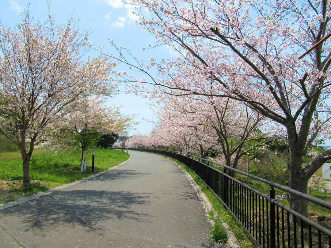 Ogasayama Sports Park Ecopa景点图片