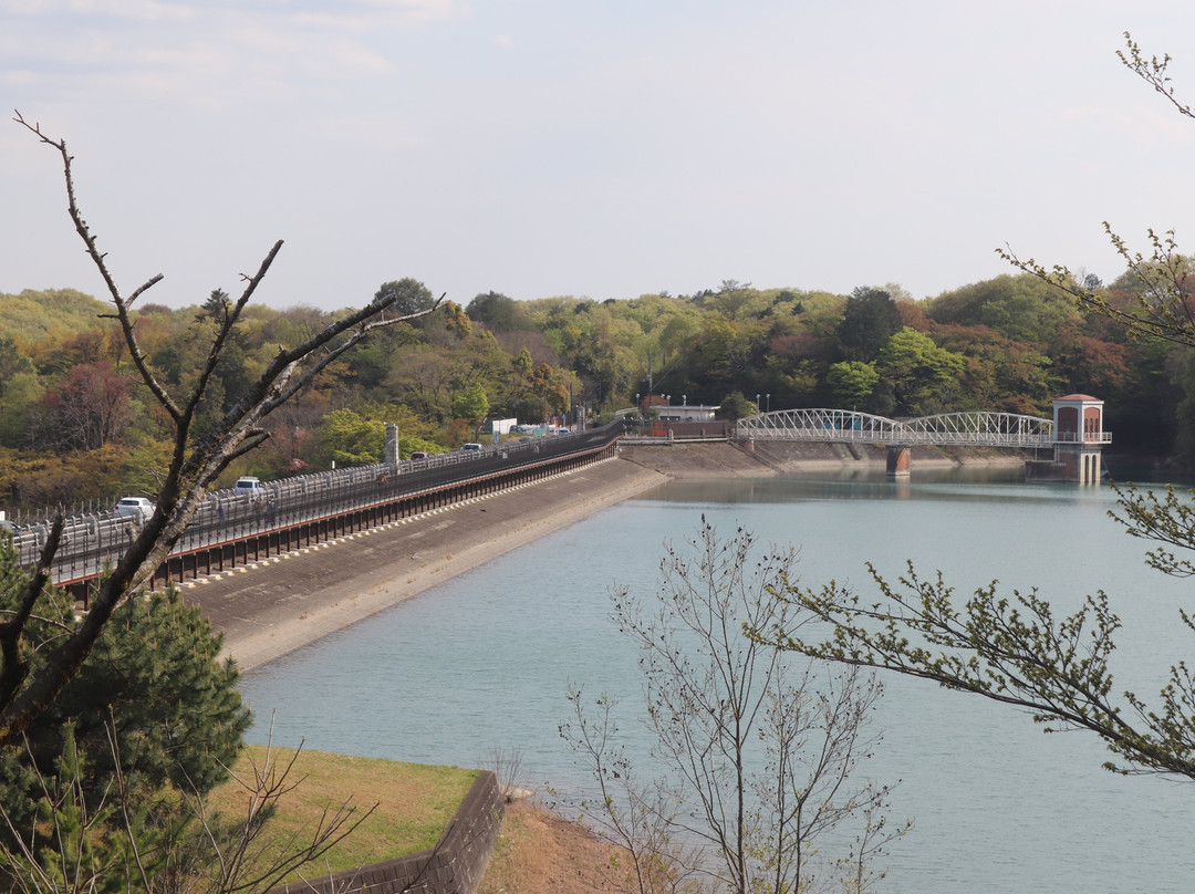 Tama Lake Cycling Road景点图片