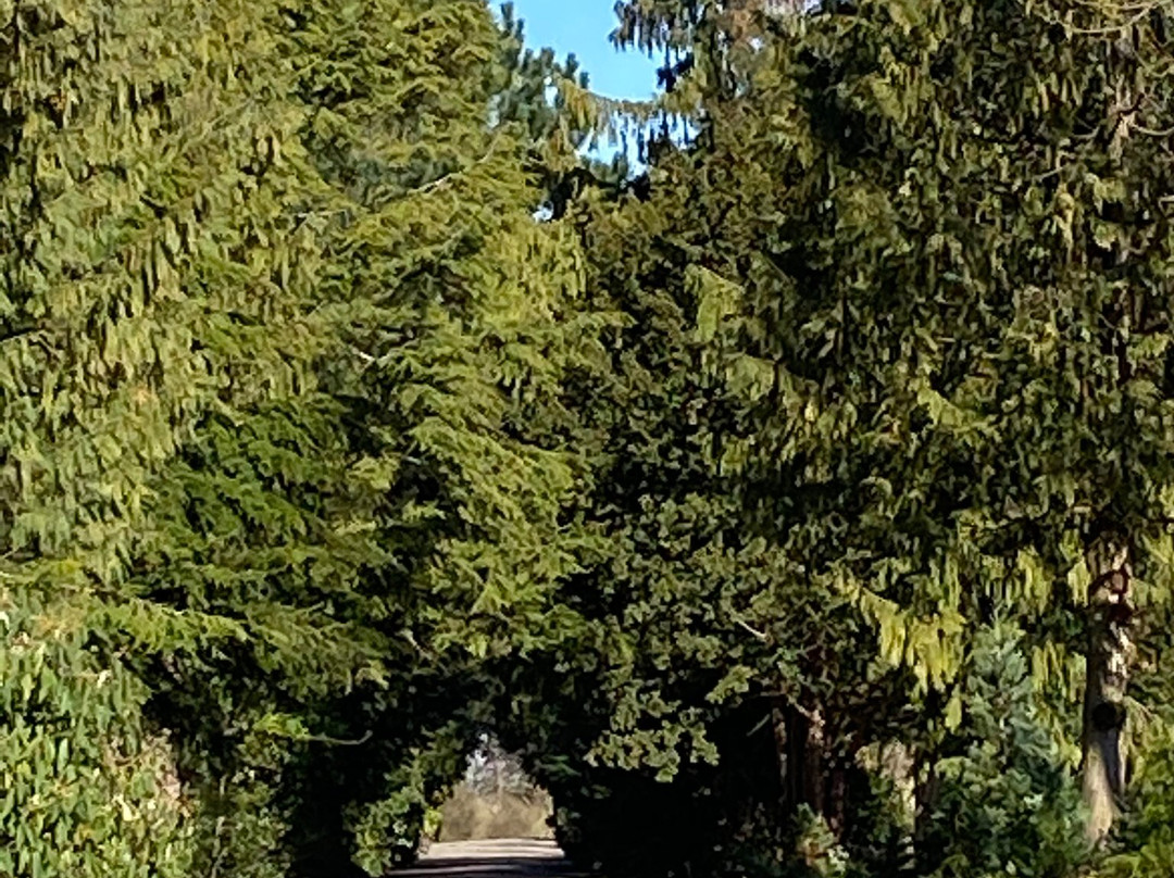 Bispebjerg Cemetery景点图片