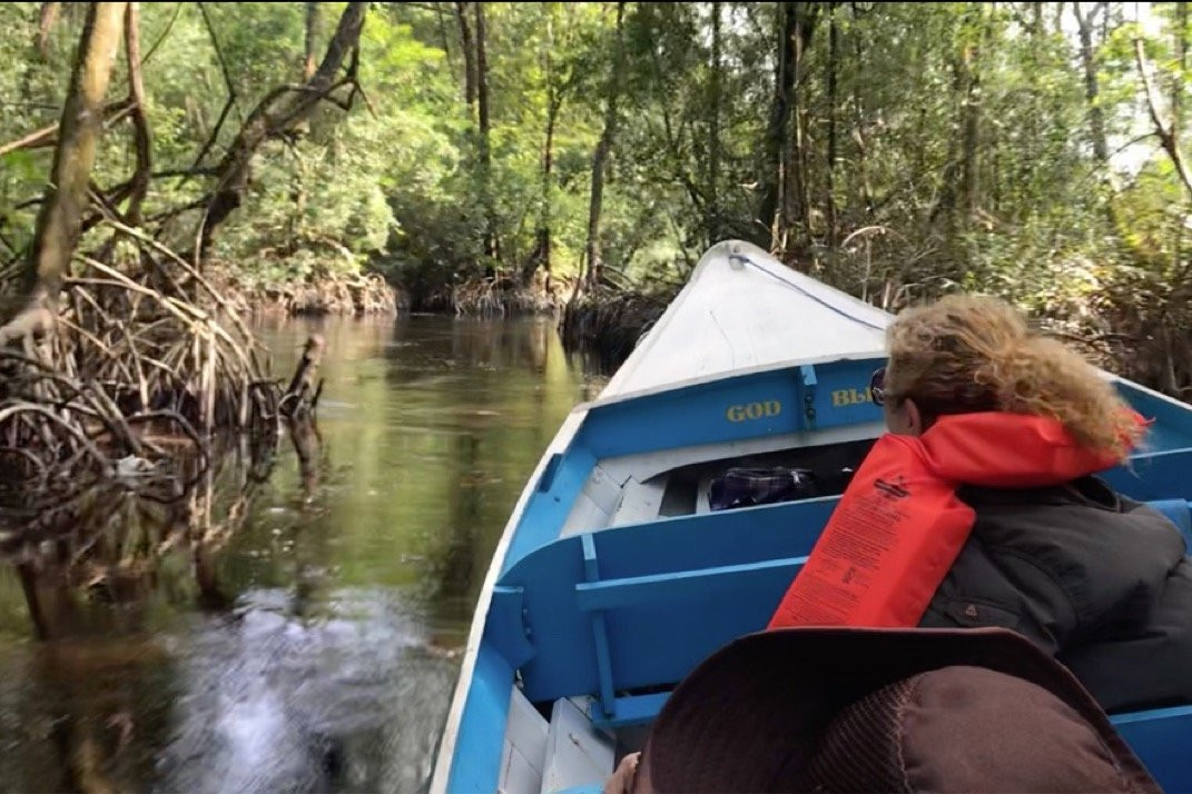 Singing Chef Adventures-乔治城必去景点