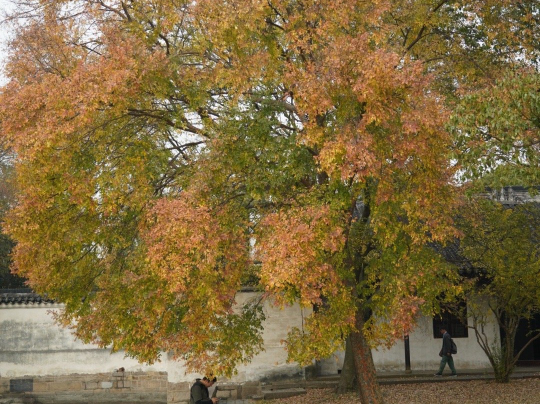 上方山-苏州市必去景点