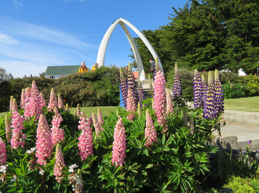 Whalebone Arch-Stanley必去景点