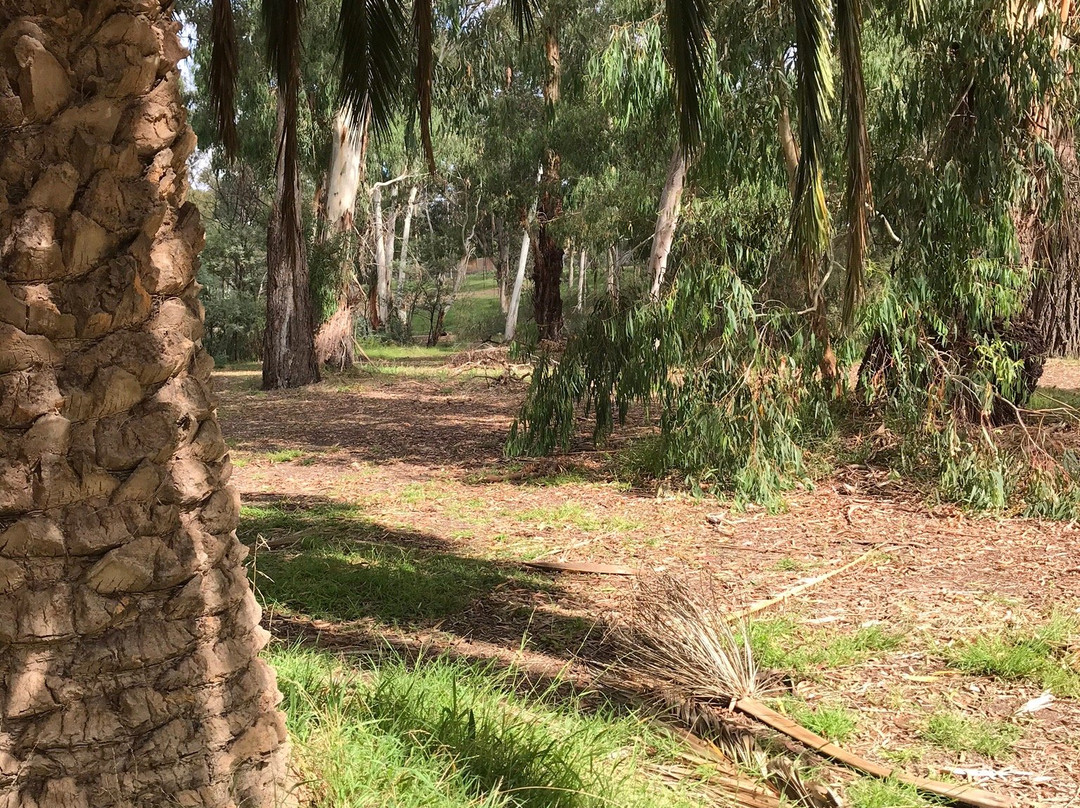 Eltham north reserve景点图片
