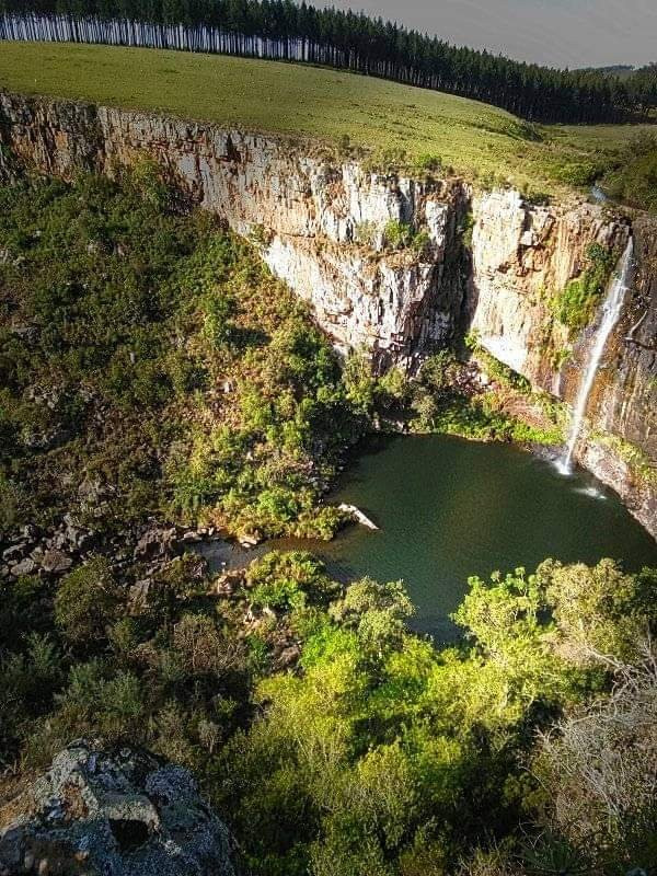 Harvey Shuttle-尼斯普鲁特必去景点