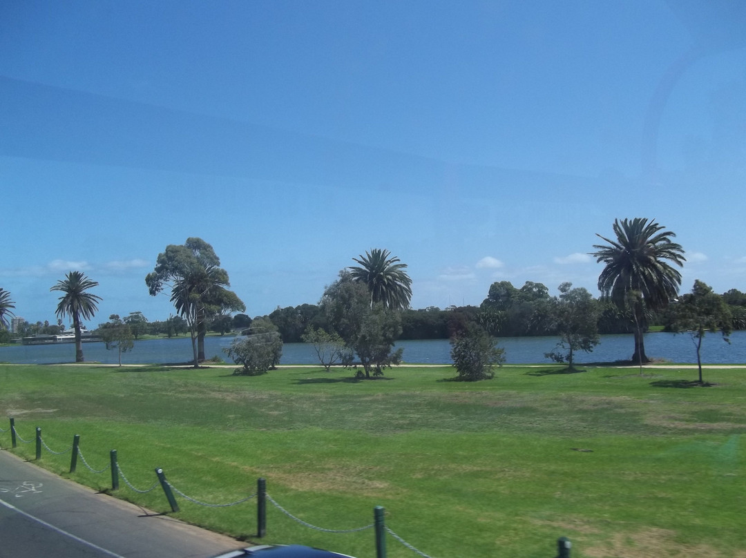 Albert Park Lake景点图片