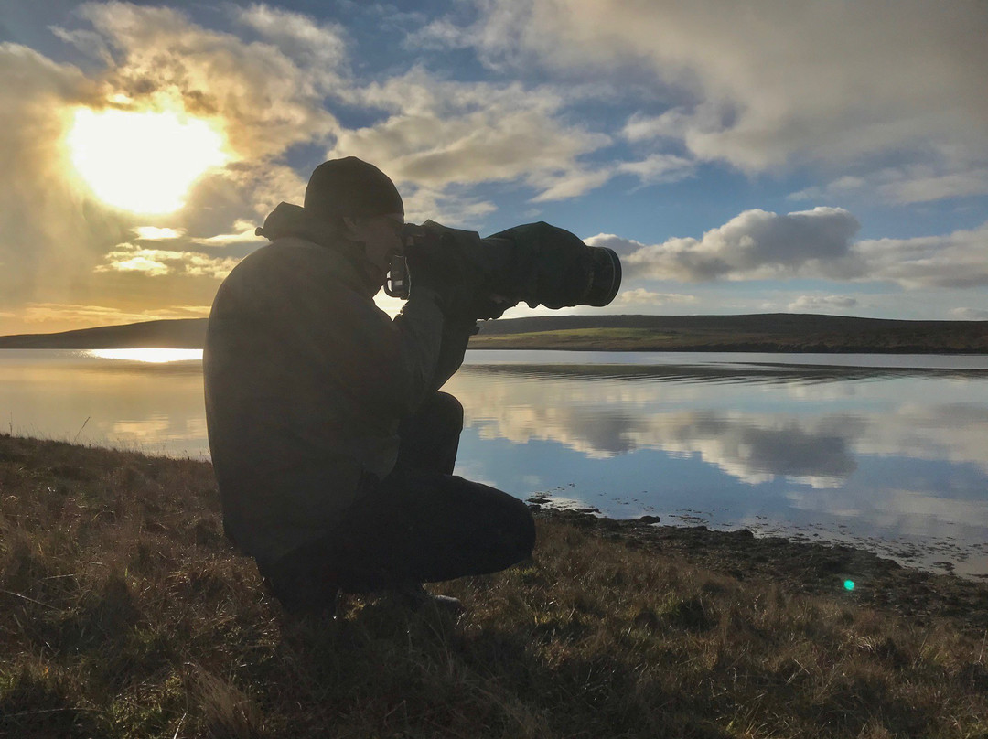 Shetland Nature景点图片