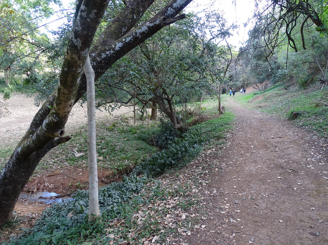 Wylie Park-彼得马里茨堡必去景点