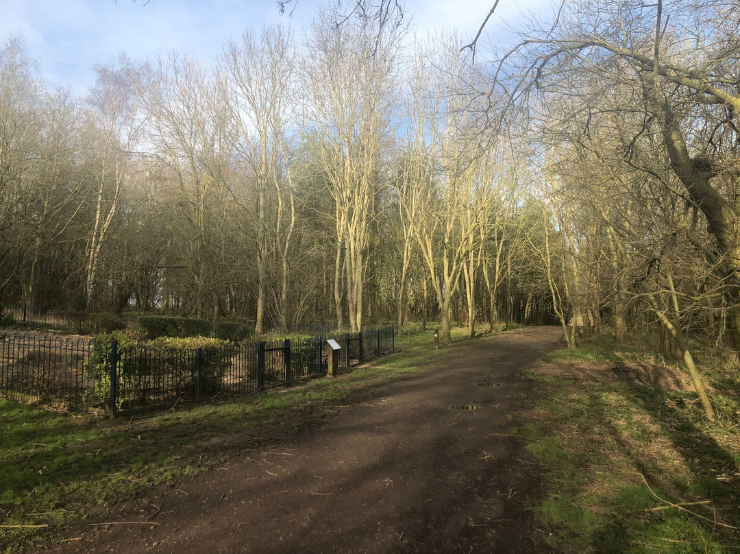 Melton Country Park景点图片