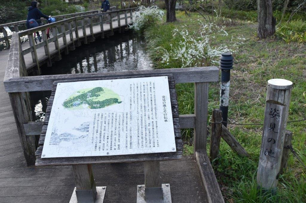 Sugatami no Ike-国分寺市必去景点