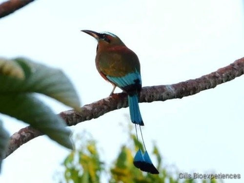 Reserva Toh-从莫雷洛斯港必去景点