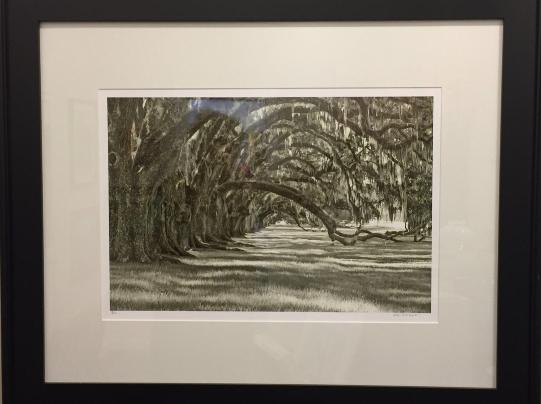 Maye River Gallery-布拉夫顿必去景点