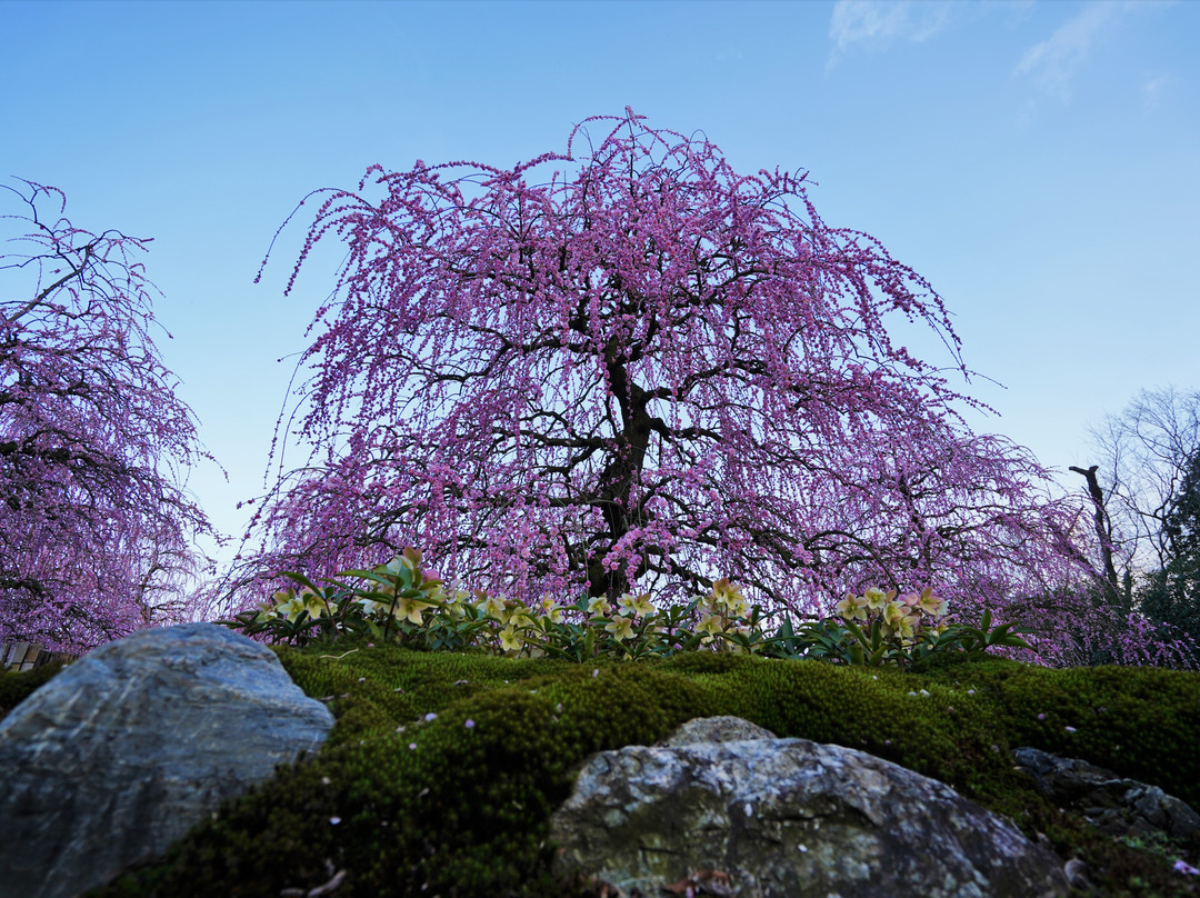 Suzuka Forest Garden景点图片