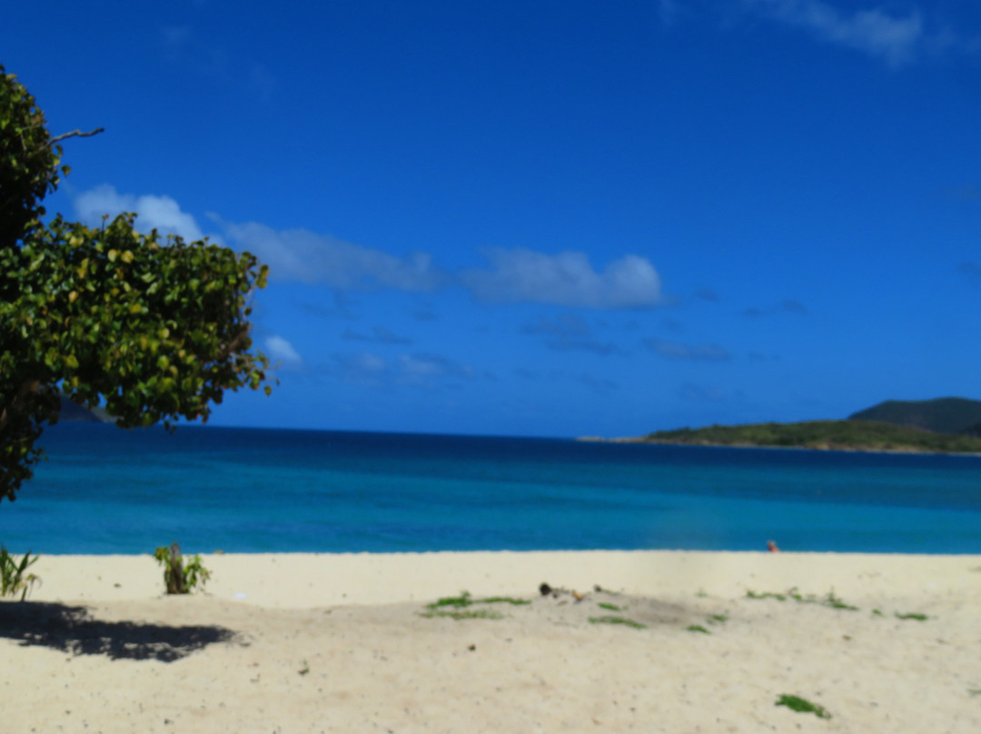 Long Bay Beach景点图片