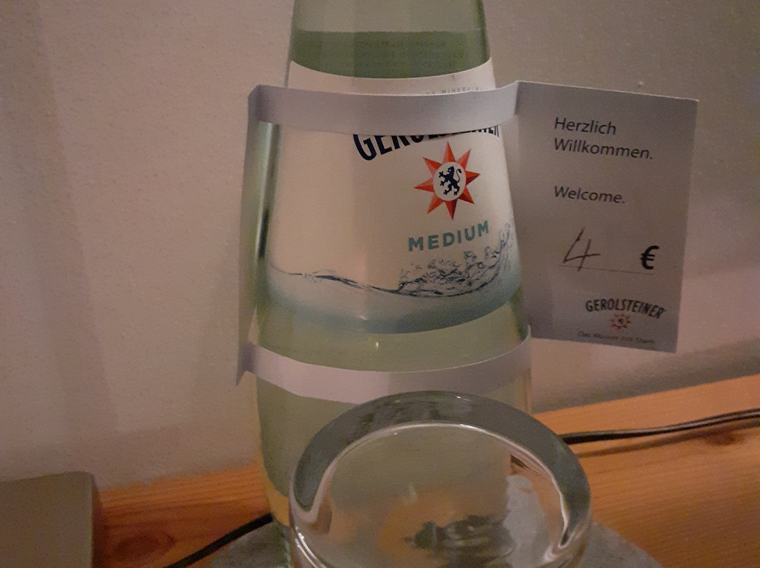 赛德尔霍夫酒店主图