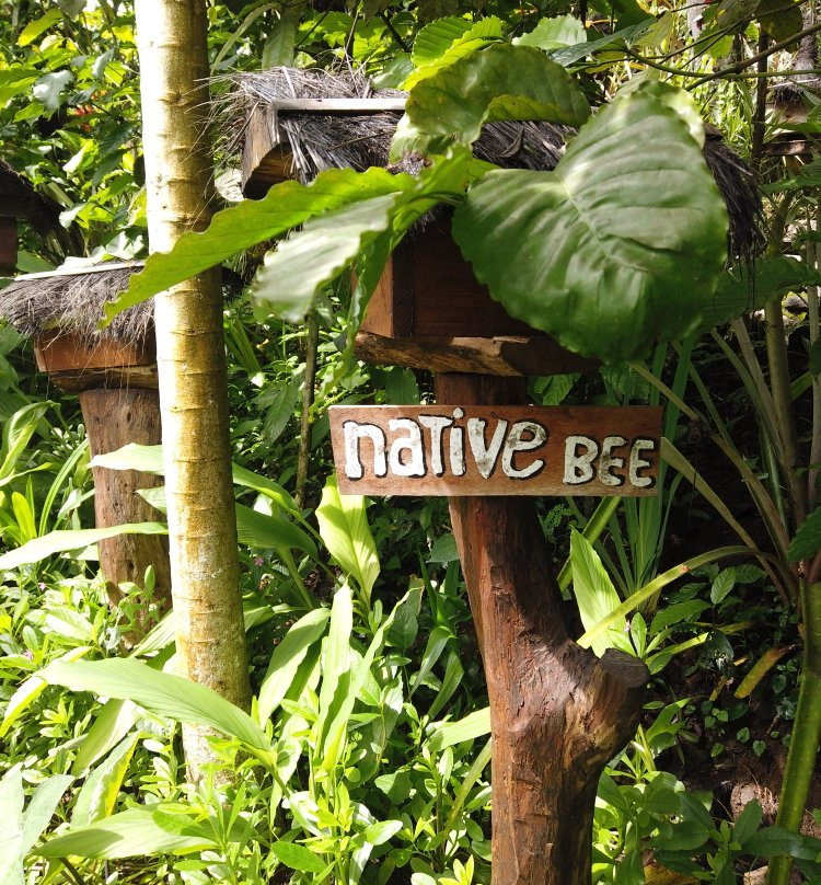 Honeybee Farm & Luwak Coffee Agrotourism景点图片