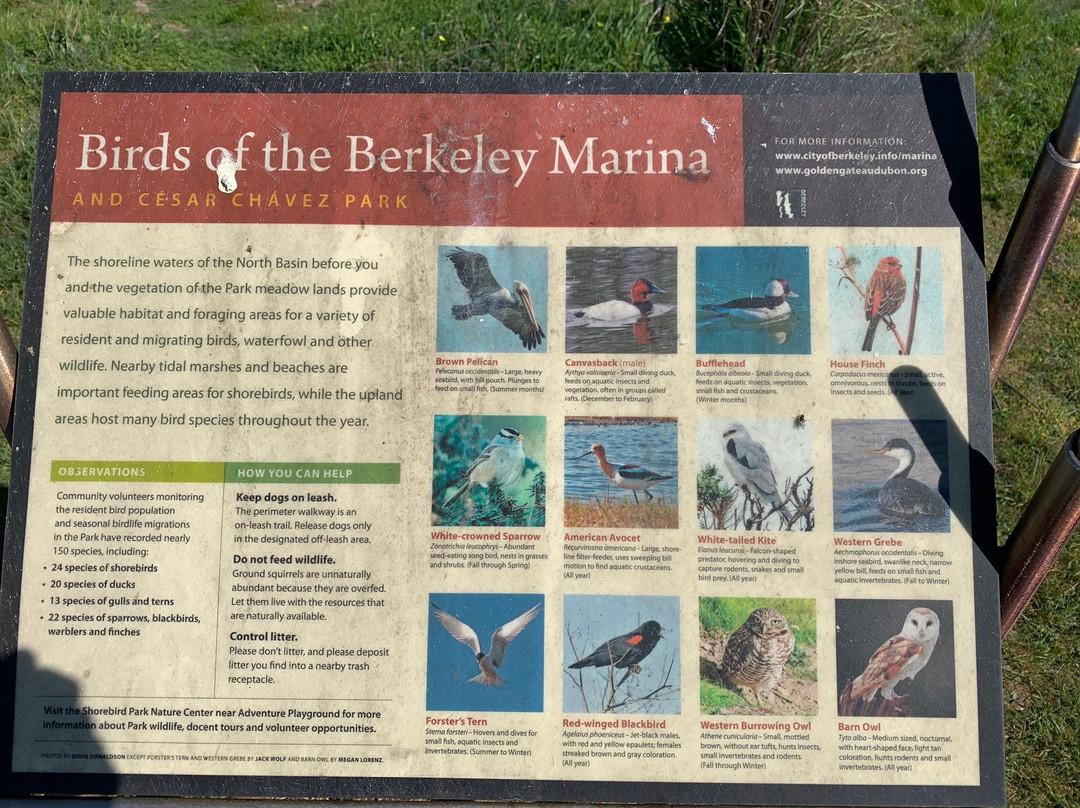 César Chávez Park-伯克利必去景点