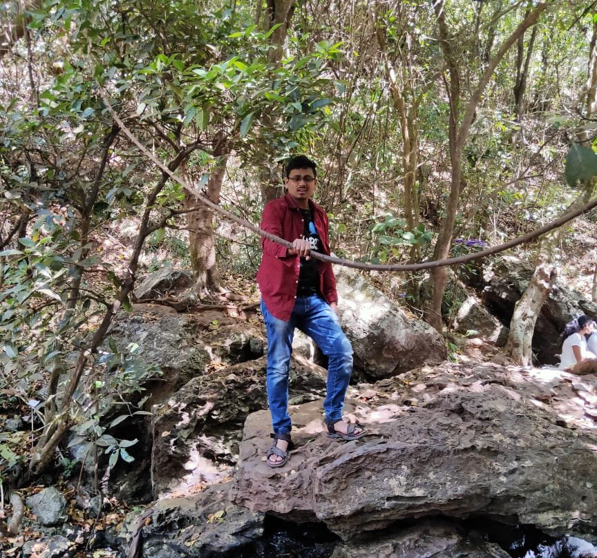 Jhari or Dabdabe Falls景点图片