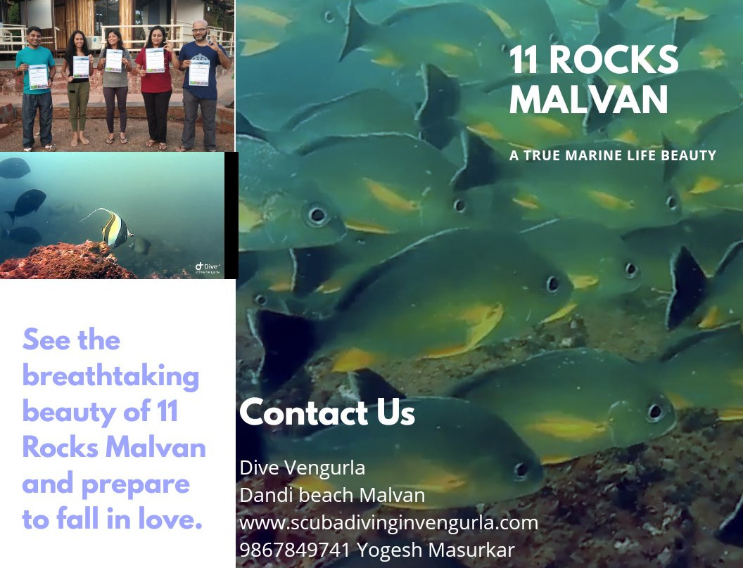 Tarkarli Scuba Diving景点图片