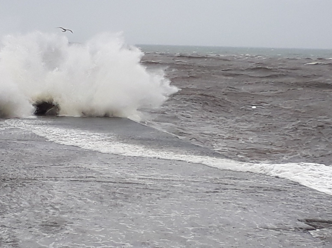 Greymouth Breakwater景点图片
